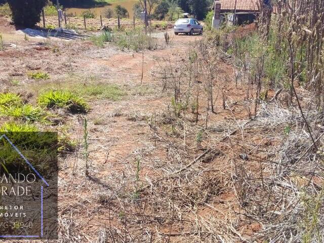 Venda em Ferreiras - Pouso Alegre