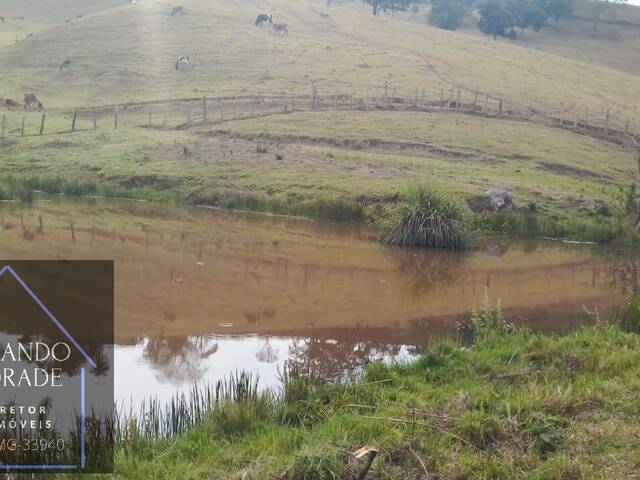 #2965 - Sítio para Venda em Silvianópolis - MG - 2