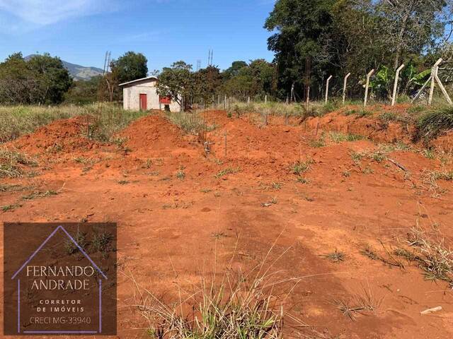 Venda em Limeira - Pouso Alegre