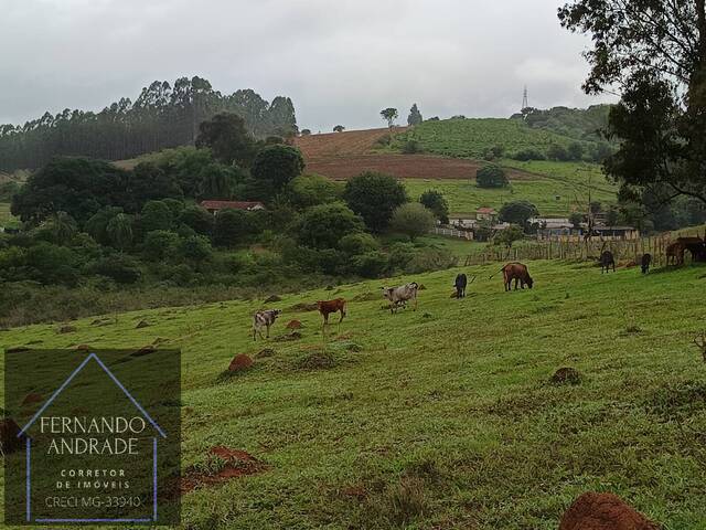 #3000 - Sítio para Venda em São Gonçalo do Sapucaí - MG - 1