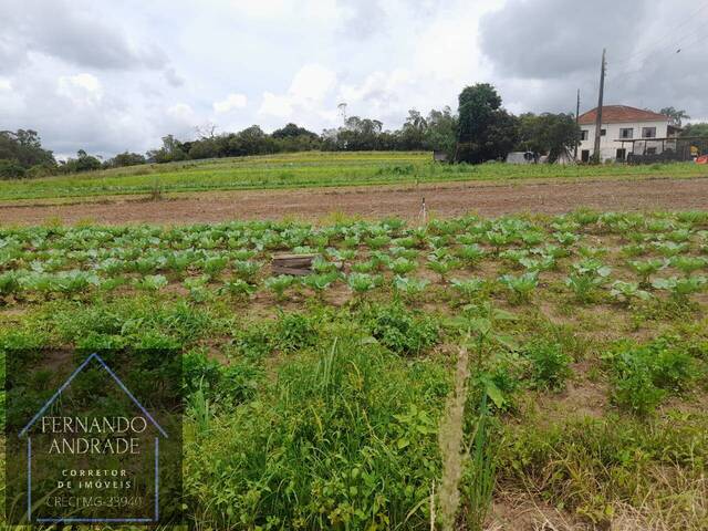 #3028 - Terreno para Venda em Pouso Alegre - MG - 3